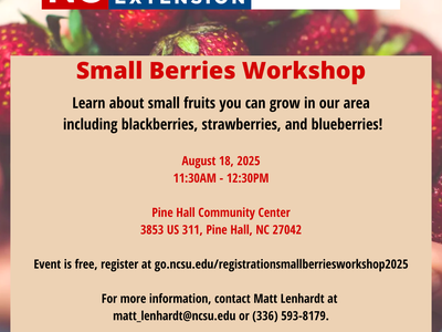 Small Berries Workshop flyer — Aug 18, 2025, 11:30AM–12:30PM; Pine Hall Community Center