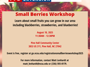 Small Berries Workshop flyer — Aug 18, 2025, 11:30AM–12:30PM; Pine Hall Community Center