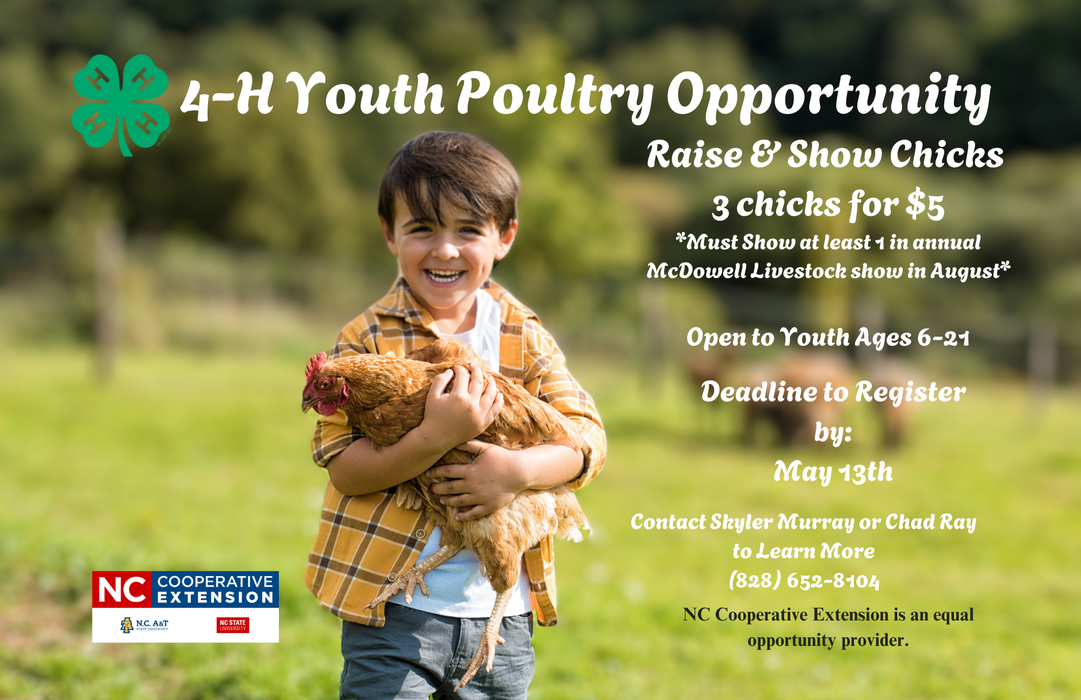 4-H Youth Poultry Opp. 