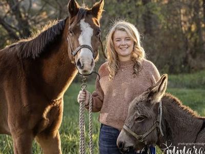 Young woman standing in a field holding a lead rope between a horse and a donkey