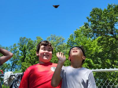 Two boys by a chain-link fence looking up as a butterfly flies overhead
