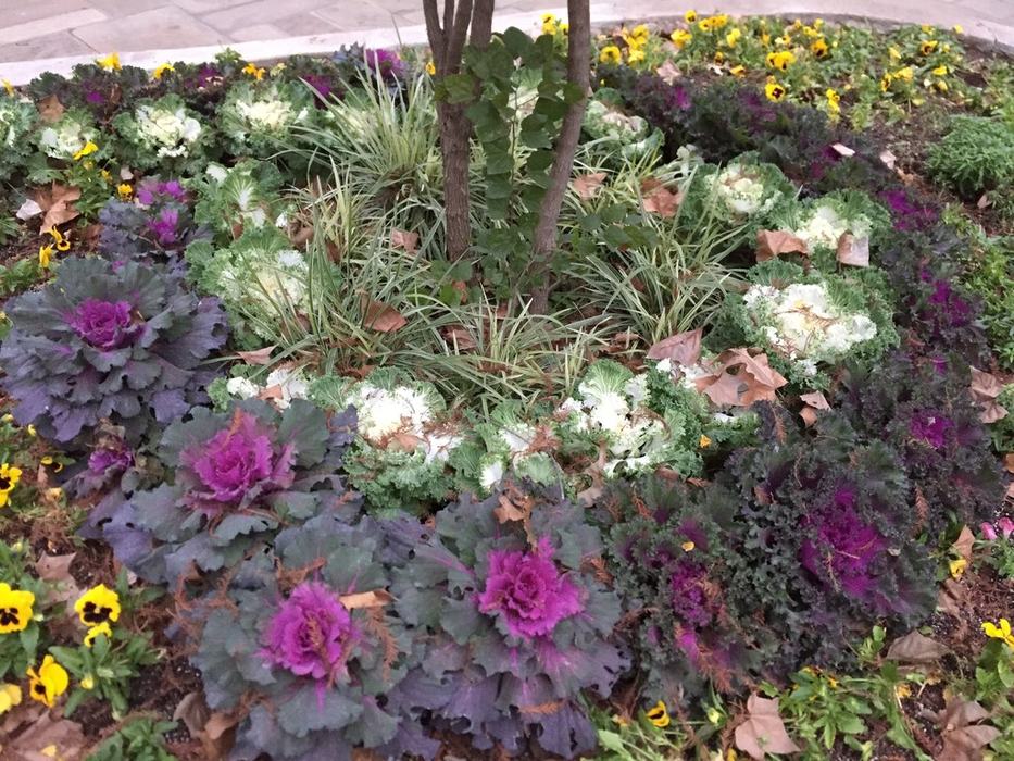 Form Jim Robbins CC BY-NC-ND 4.0