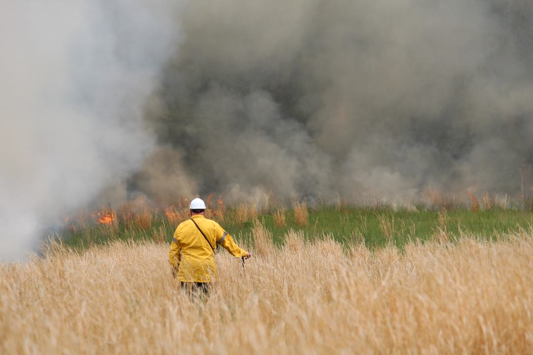 A man watches a prescribed burn from a nearby field.