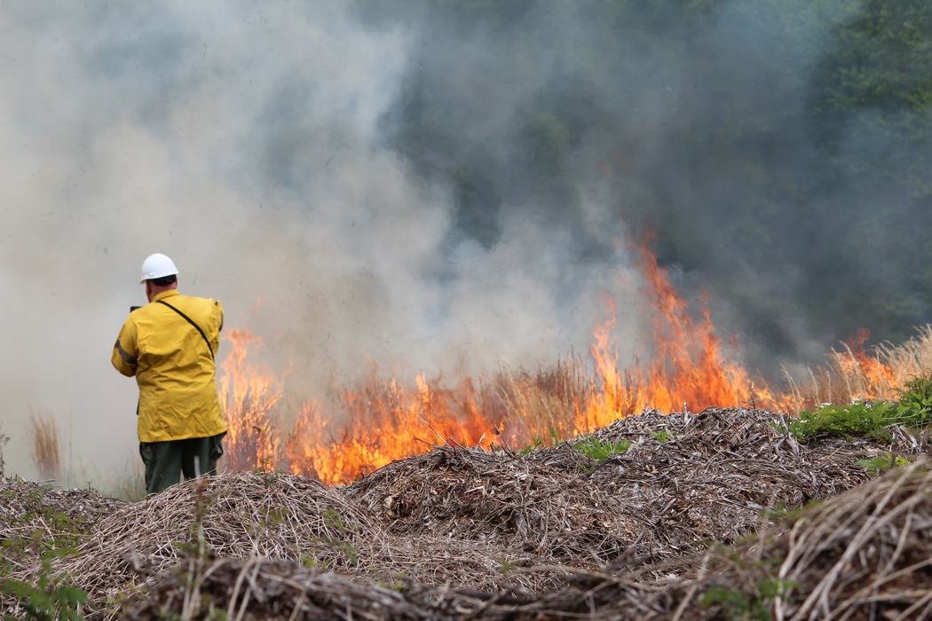 A person stands near a prescribed burn.