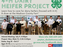 Image of youth with dairy heifers, and program info text