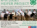 Image of youth with dairy heifers, and program info text