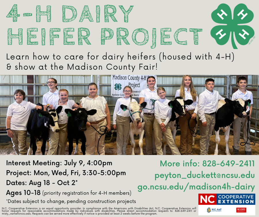 Image of youth with dairy heifers, and program info text