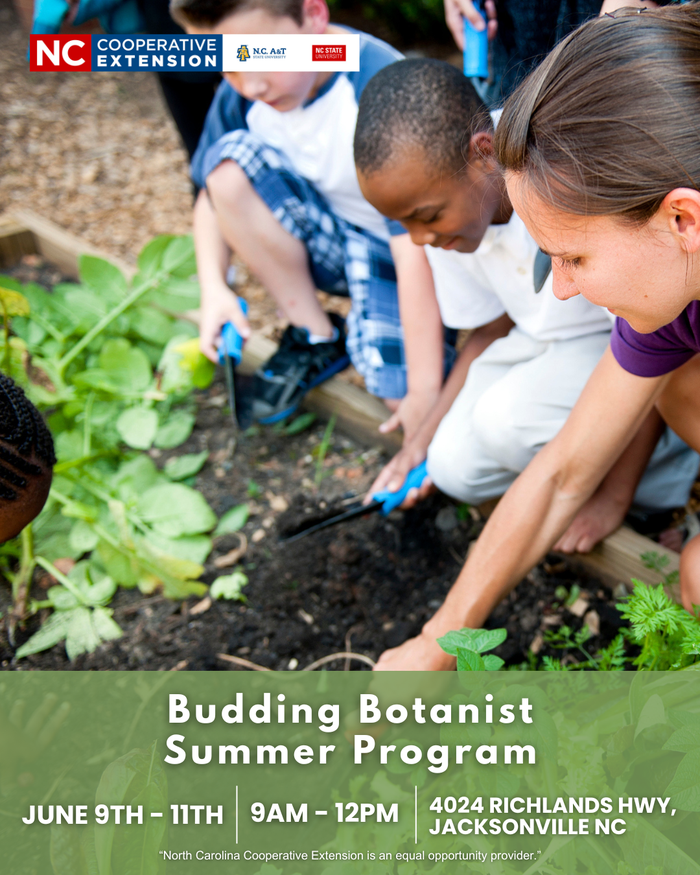 Flyer featuring children learning how to garden