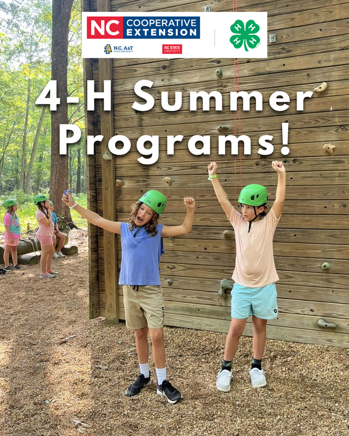 4-H Summer Programs featuring an image from summer camp.