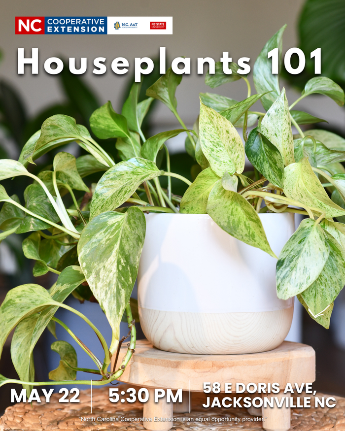 Flyer featuring an image of a Pothos houseplant