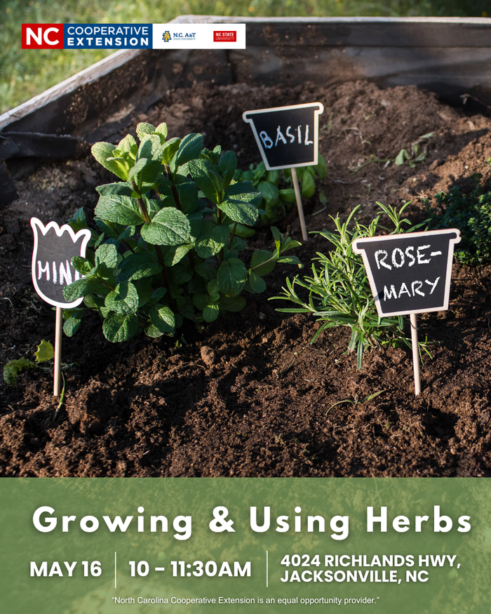 Flyer for class featuring herbs planted in a garden bed