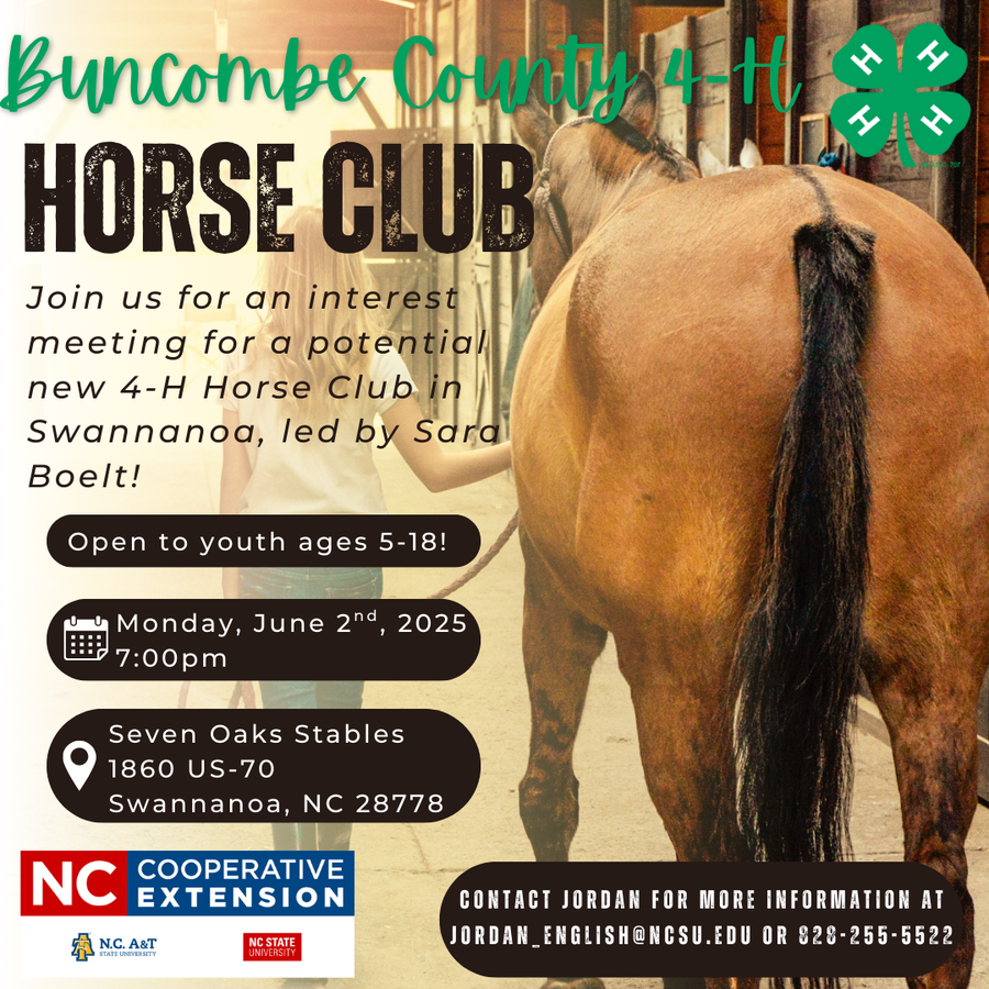 Buncombe County 4-H Horse Club