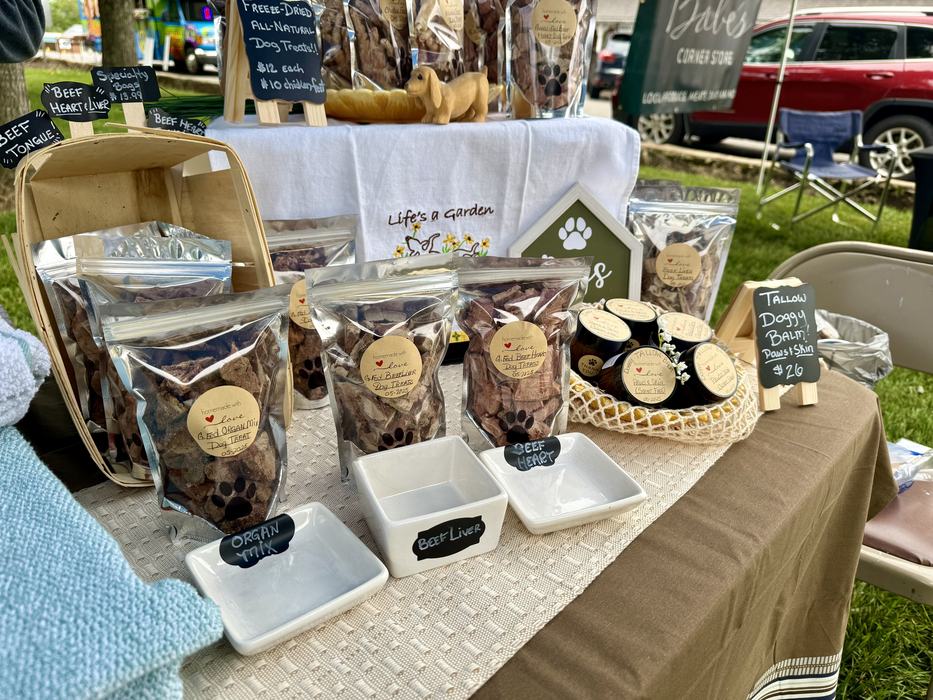Dried dog treats made from organs.