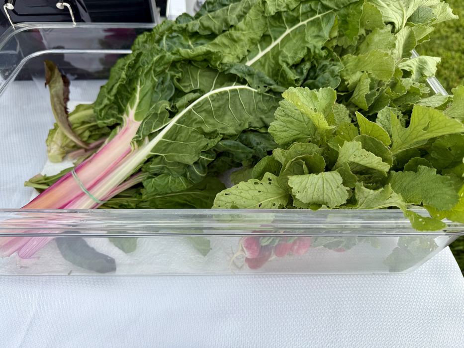 Radishes and rhubarb for displayed for sale.
