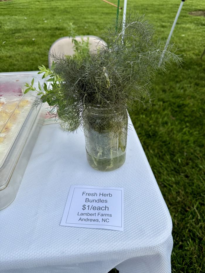Fresh herb bundles for sale.