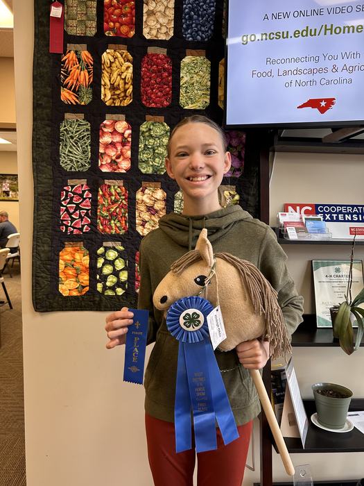Photo of girl girl holding 2 blue ribbons and stick horse craft