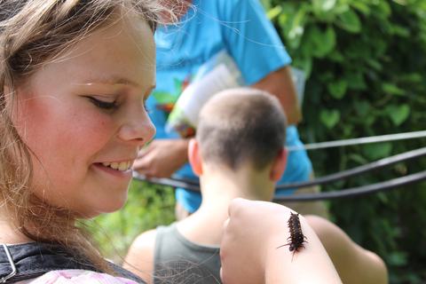 Young girl smiling while a black caterpillar with orange spots crawls on her arm