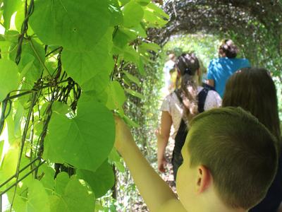 Ag Day Camp