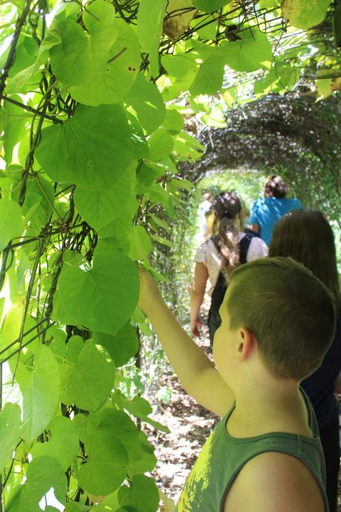 Ag Day Camp