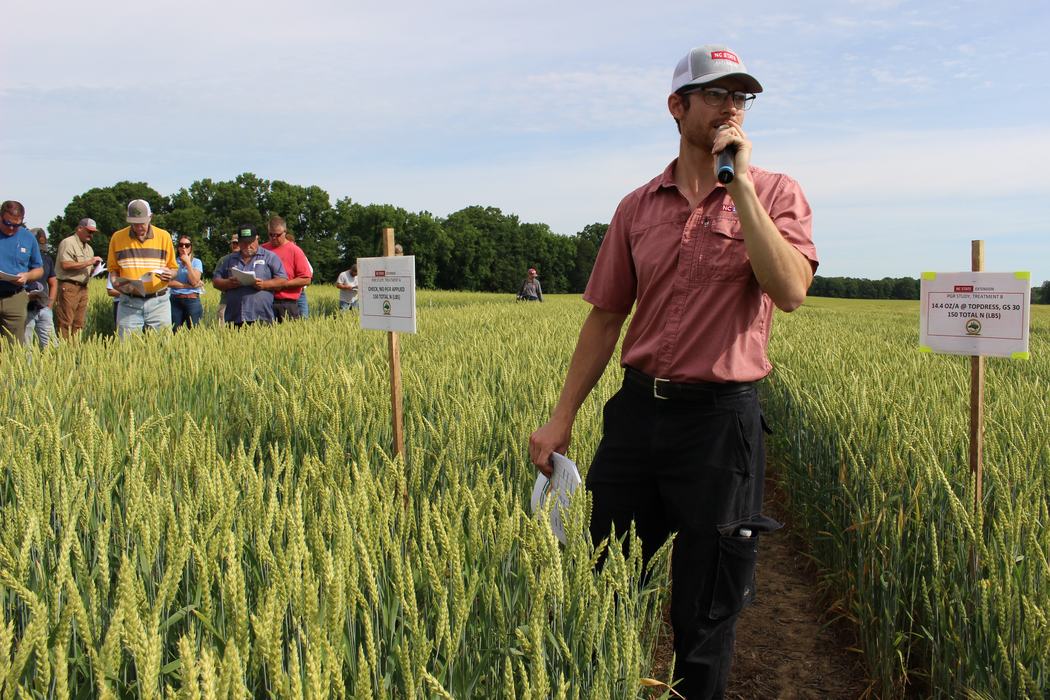 Morgan talking to crowd in wheat field