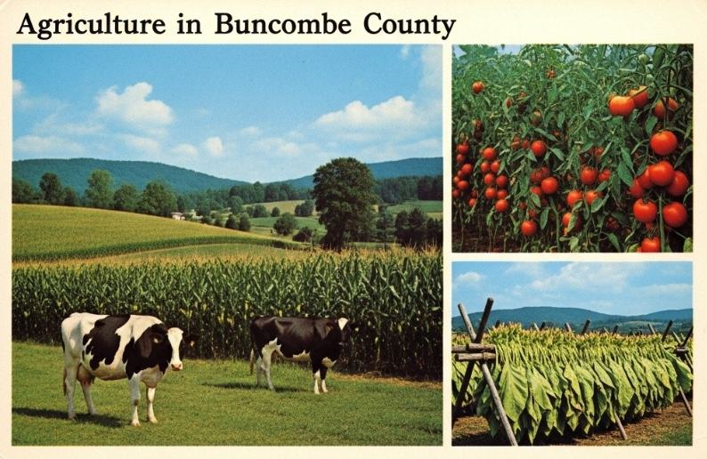 Agriculture in Buncombe County.