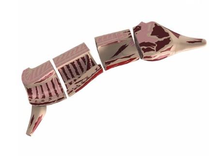 Beef Cut Model