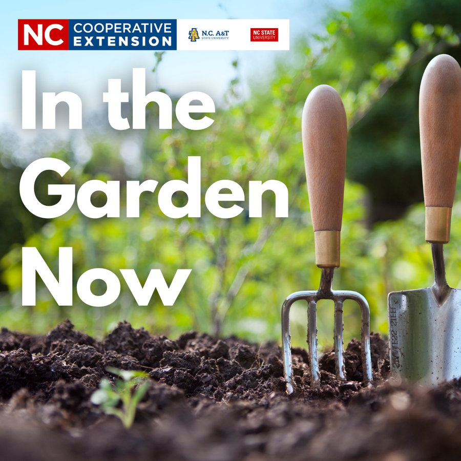 Image features gardening tools and the heading "In the Garden Now"