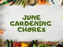 JUNE CHORES
