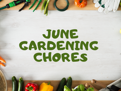 JUNE CHORES