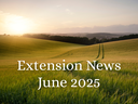 June 2025 Newsletter
