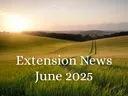 June 2025 Newsletter