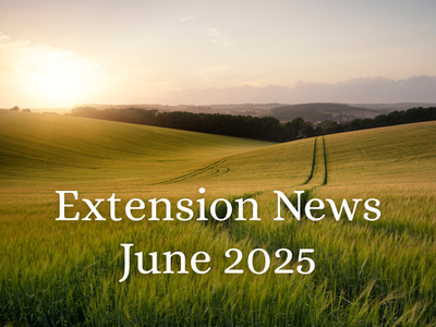 June 2025 Newsletter