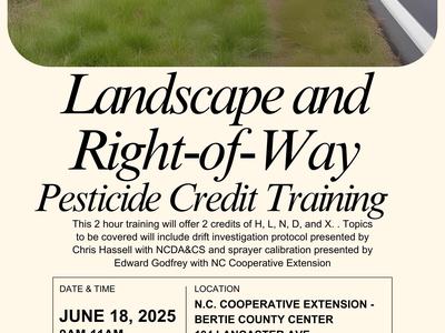Landscape and Right of Way Informational Flyer