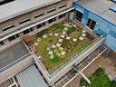 Aerial view of a green roof