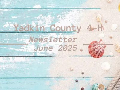 June Newsletter