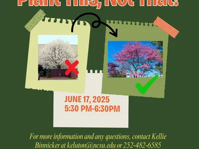 Plant This, Not That! Flyer featuring a bradford pear with a red x and an eastern red bud with a green check. 
