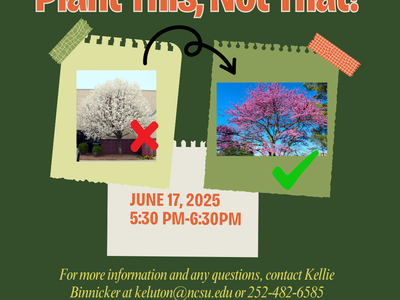 Plant This, Not That! Flyer featuring a bradford pear with a red x and an eastern red bud with a green check. 