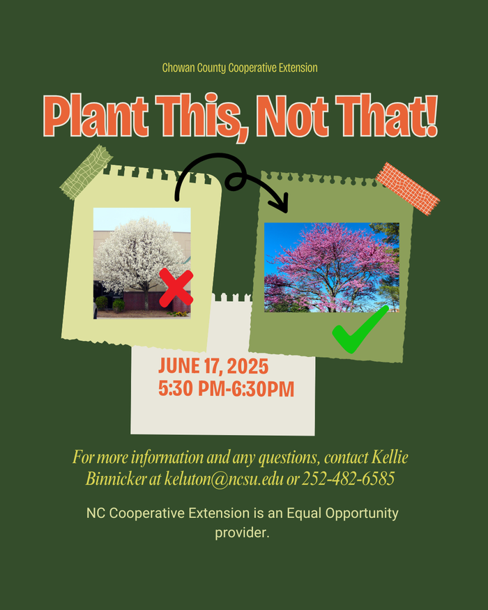 Plant This, Not That! Flyer featuring a bradford pear with a red x and an eastern red bud with a green check. 