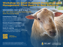 Small Ruminant Workshop Flyer