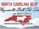 North Carolina BCIP Waynesville Bull Test Sale NC Beef Cattle Improvement Program logo