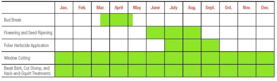 Green months: Bud Break Apr–May, Flowering Jun–Aug, Herbicide Jul–Sep, Window cutting/Basal bark Mar–Dec