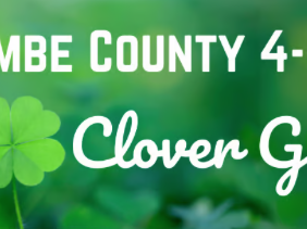 Buncombe County 4-H Clover Gazette banner with clover on green blurred background