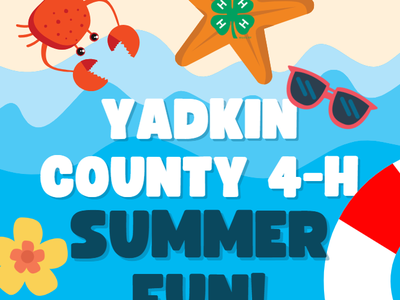Yadkin County 4-H Summer FUN