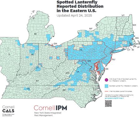 Map showing spotted lanternfly reported distribution in the Eastern U.S., updated Apr 24, 2025