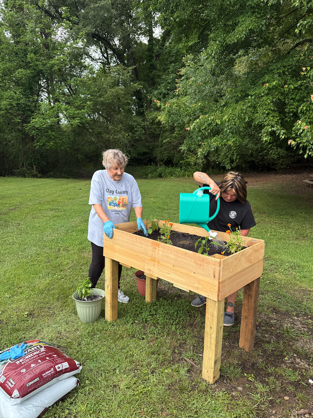 Seniors water plants in raised beds.