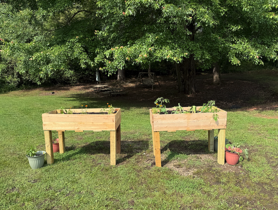Two wooden raised plant beds with flowers and vegetables planted near a senior center.