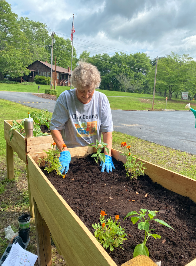 Flowers are planted in a raised bed.