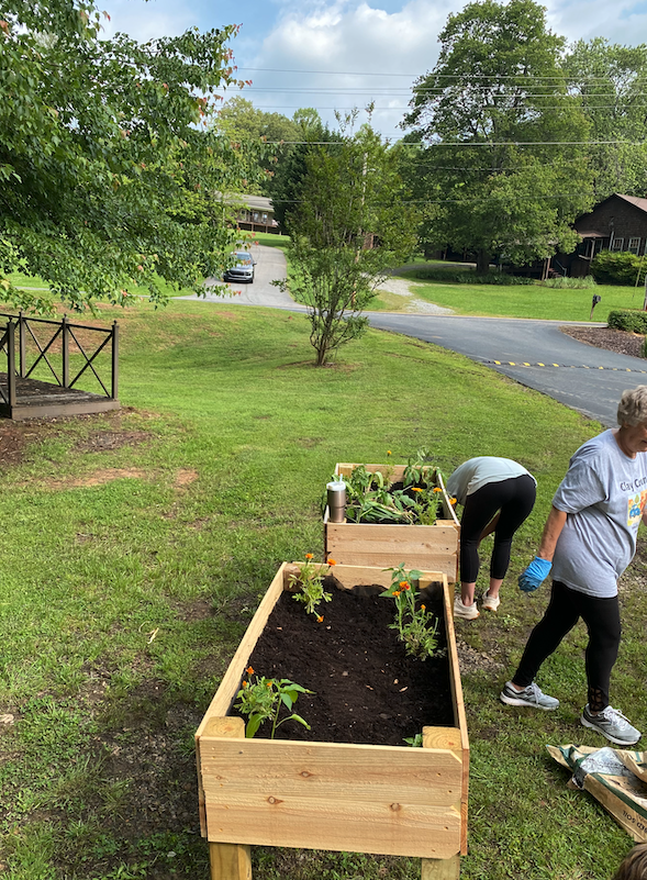 Two raised salsa garden beds.