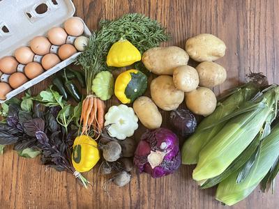 Summertime CSA haul from Red Beard Farms