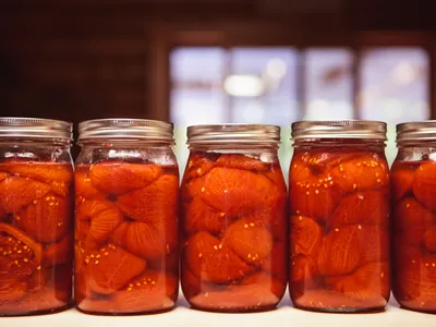 row of jars of canned tomatoes